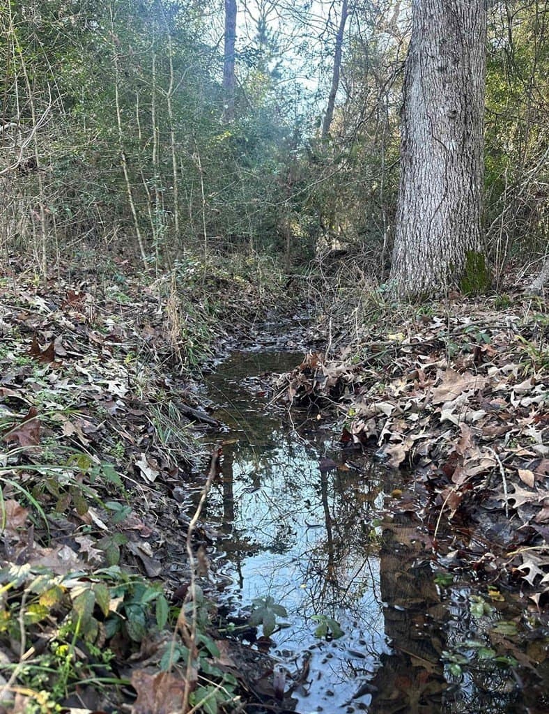 33.5 acres in ANDERSON County - photo 23