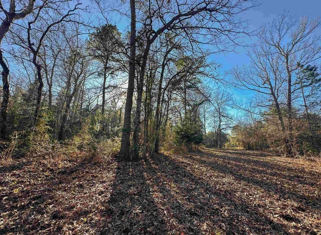 33.5 acres in ANDERSON County - photo 27