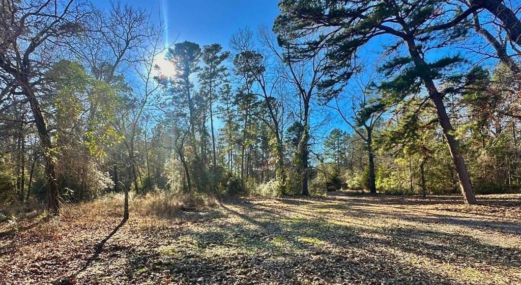 33.5 acres in ANDERSON County - photo 22