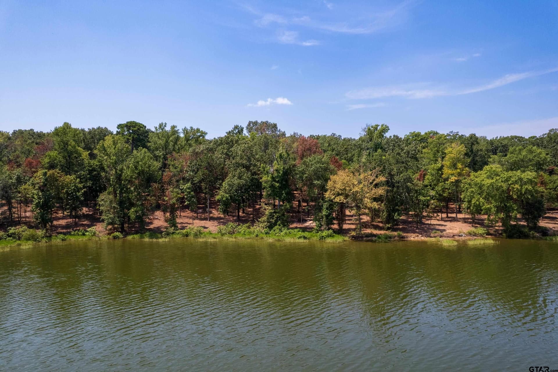 1.72 acres in Camp County - photo 7