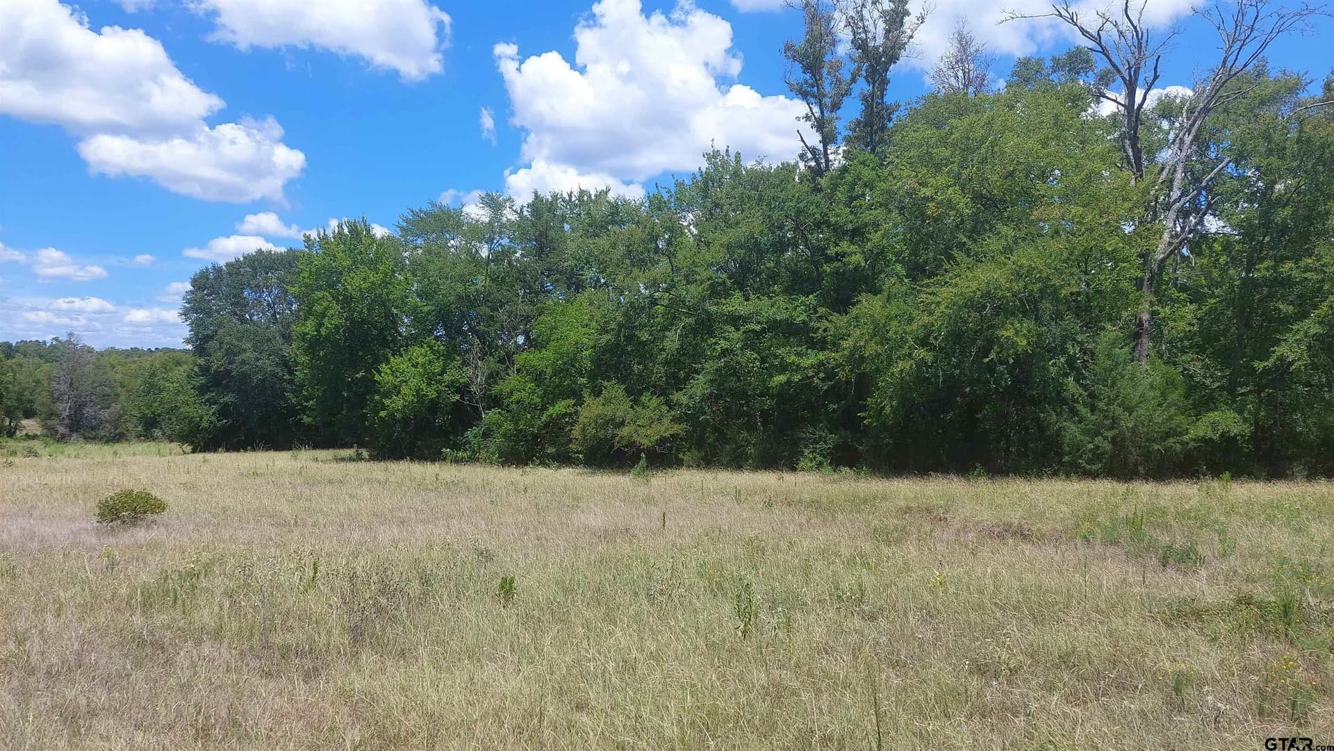 36.22 acres in Rusk County - photo 6