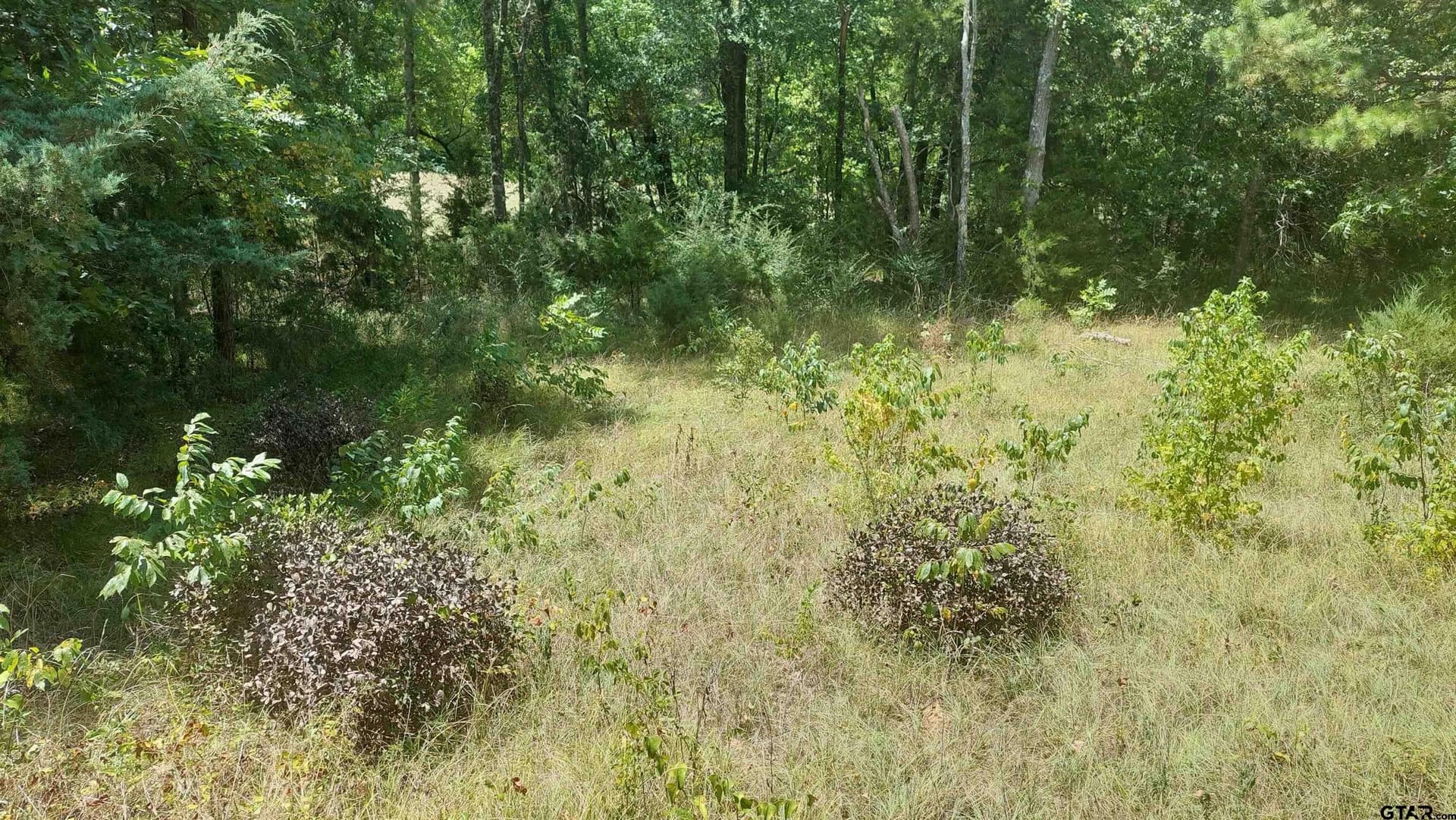 36.22 acres in Rusk County - photo 11