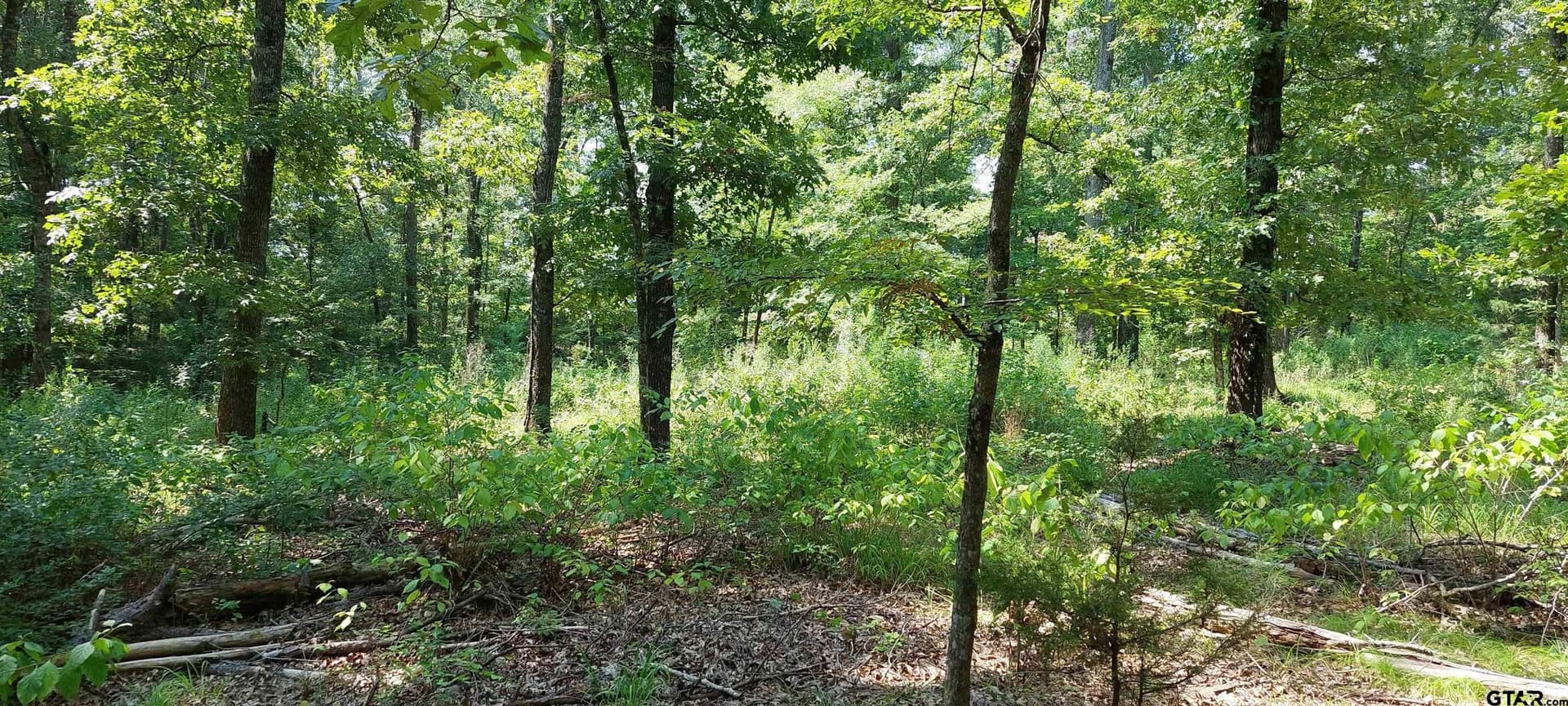 36.22 acres in Rusk County - photo 4