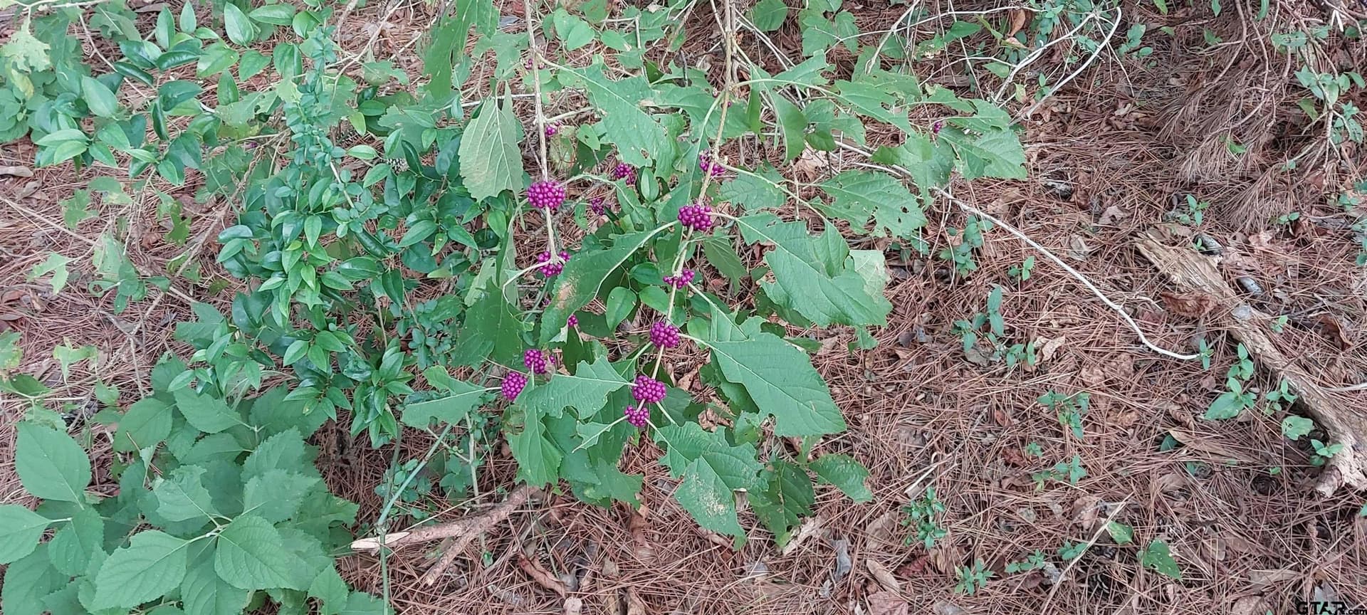 36.22 acres in Rusk County - photo 18