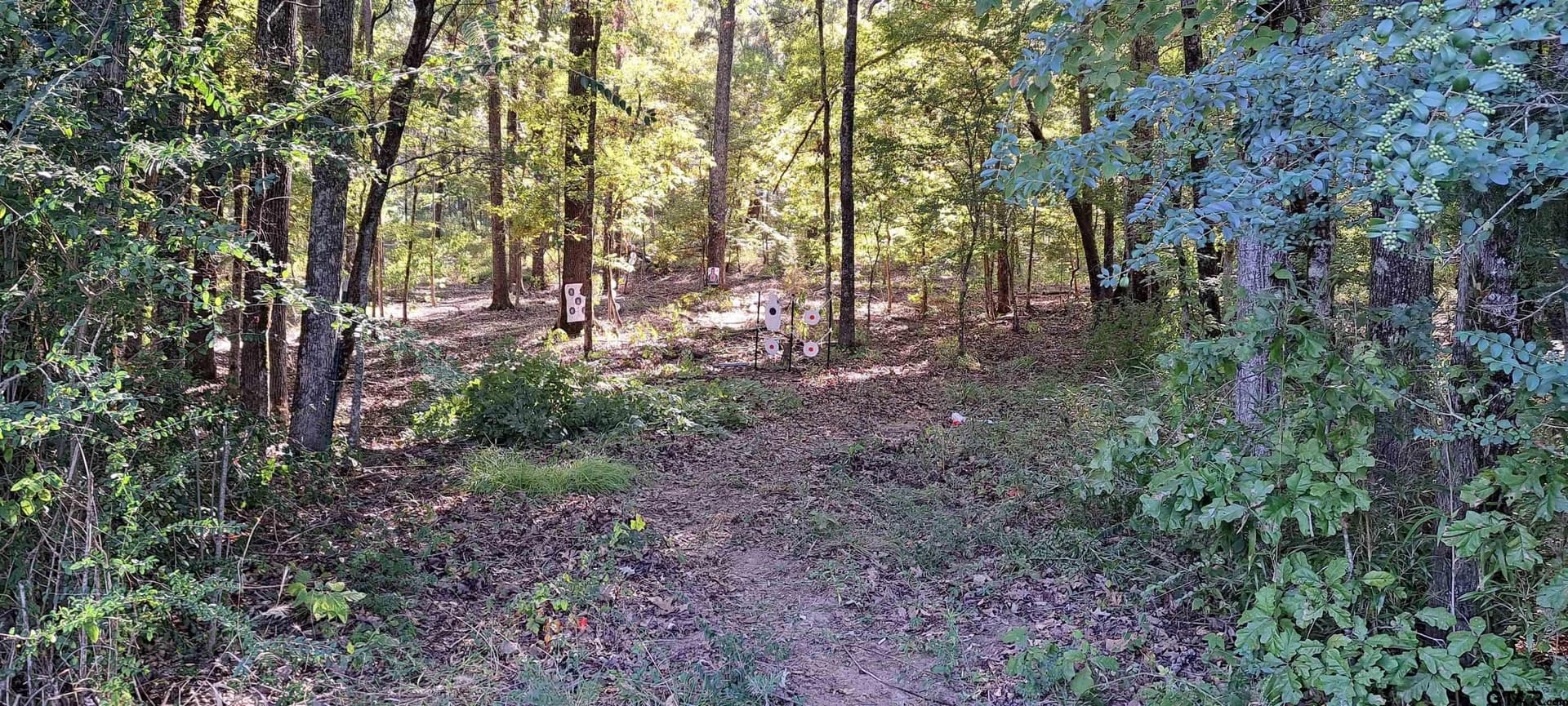 36.22 acres in Rusk County - photo 13