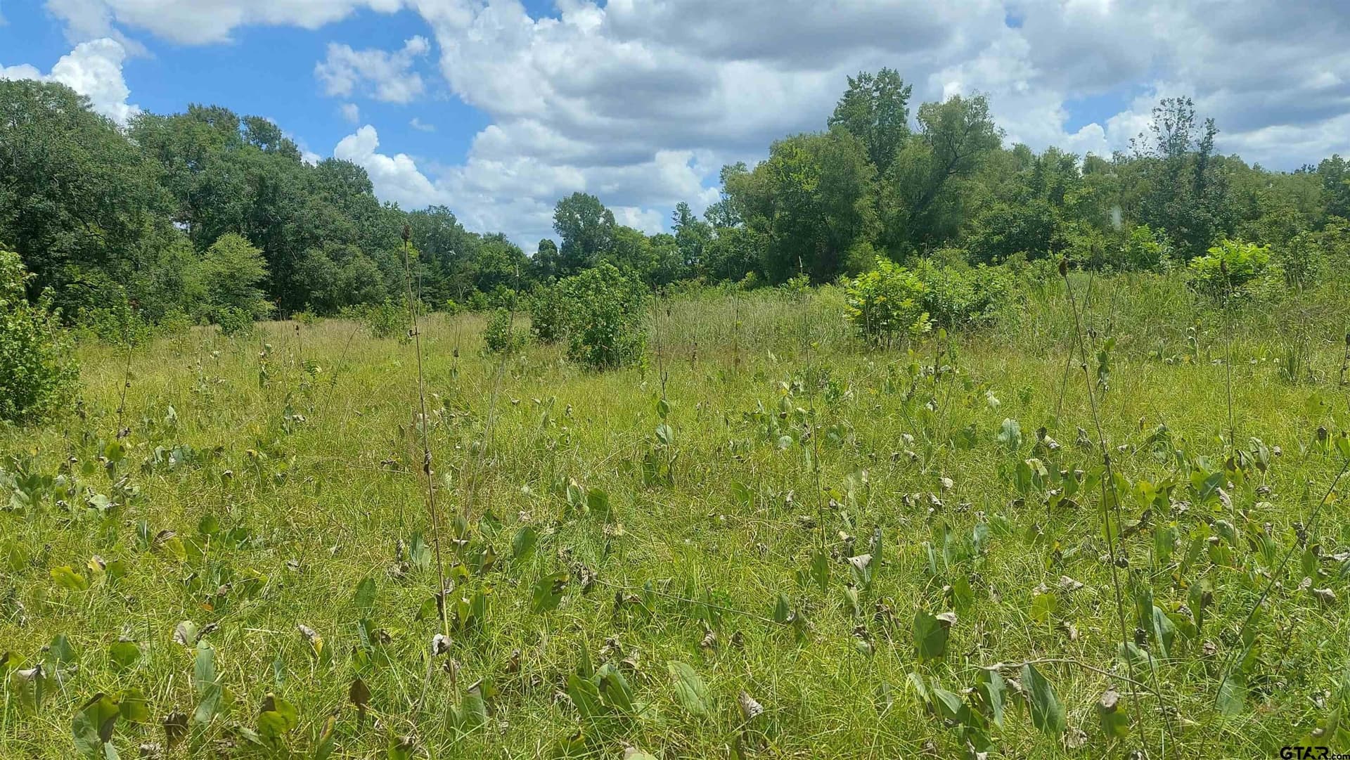 36.22 acres in Rusk County - photo 7