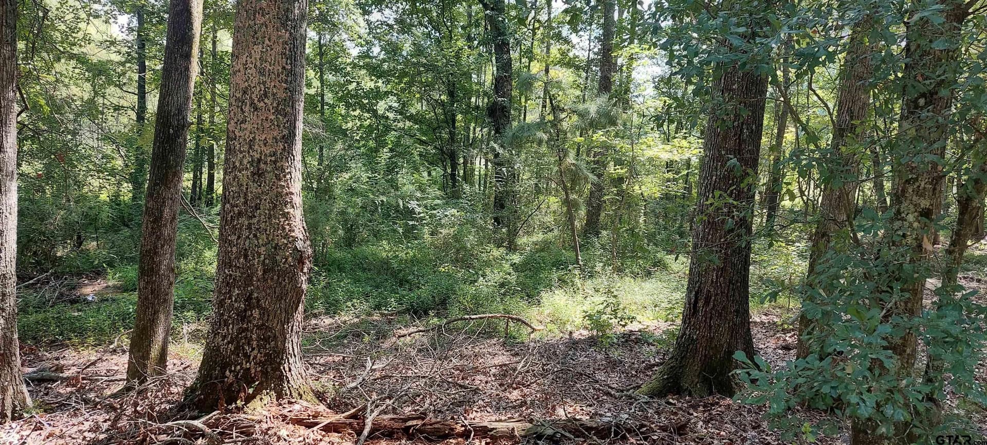 36.22 acres in Rusk County - photo 5