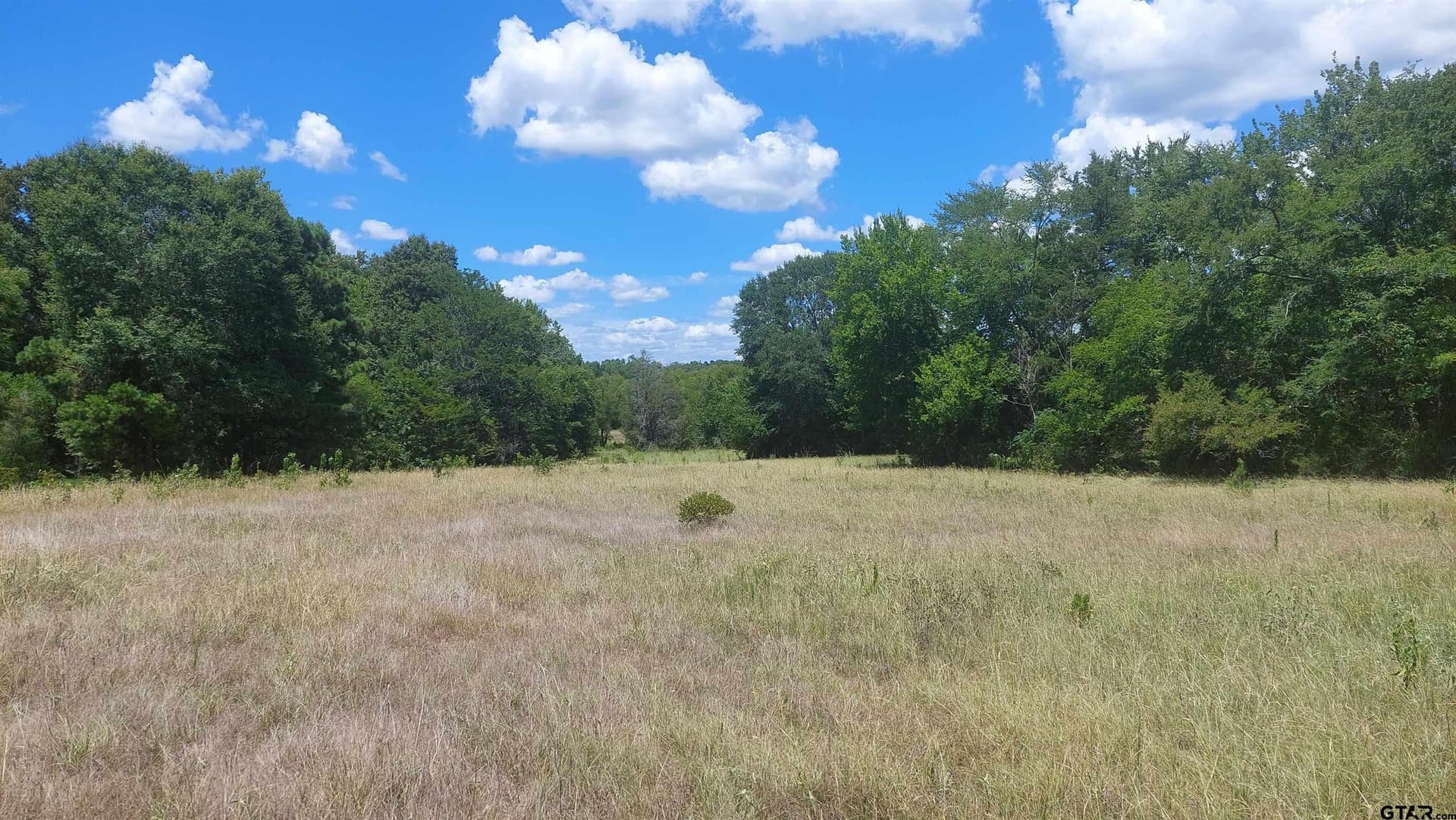 36.22 acres in Rusk County - photo 10