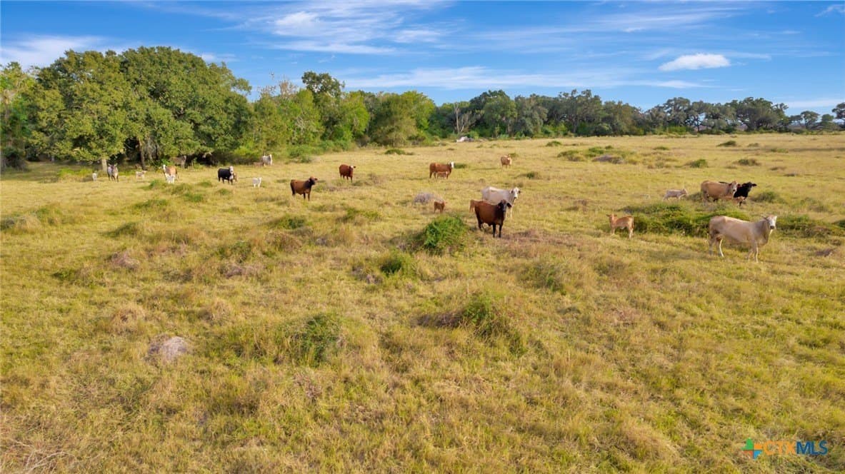 1,275.23 acres in Jackson County - photo 10