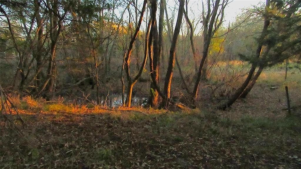 12.15 acres in Hopkins County - photo 10