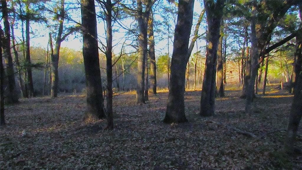 12.15 acres in Hopkins County - photo 5
