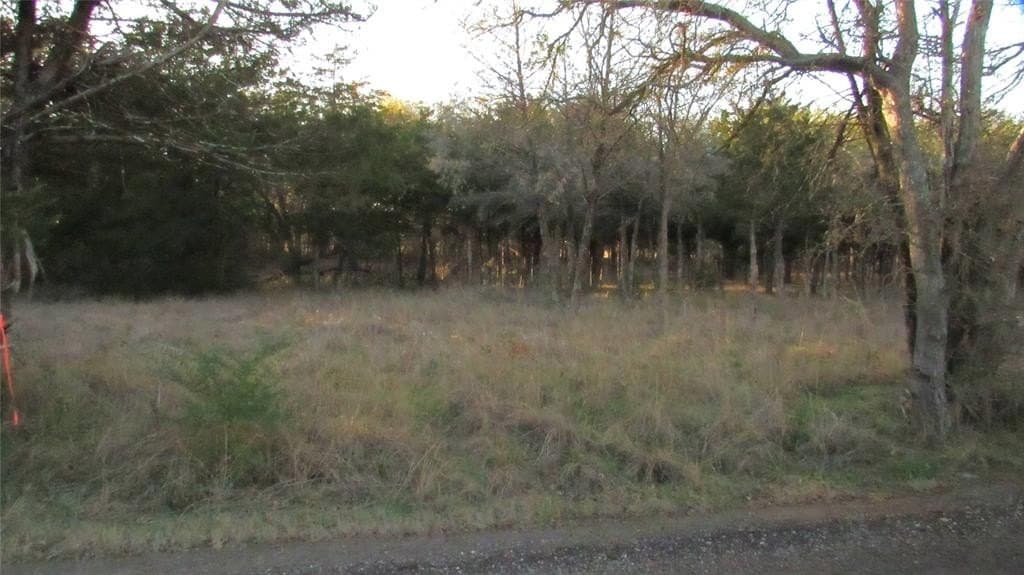 12.15 acres in Hopkins County - photo 9