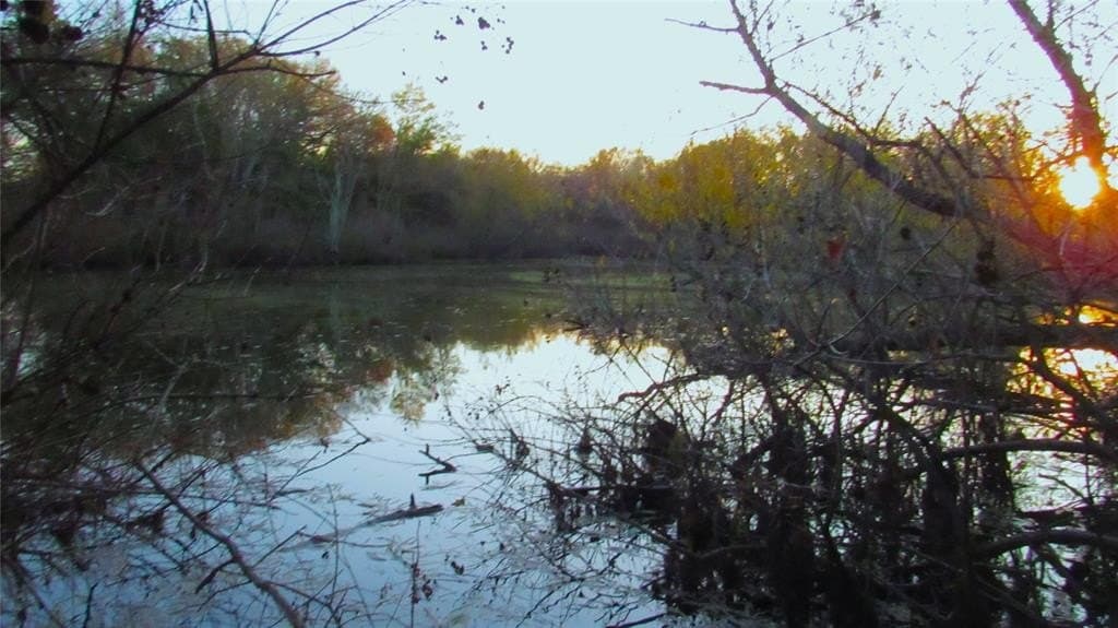 12.15 acres in Hopkins County - photo 7