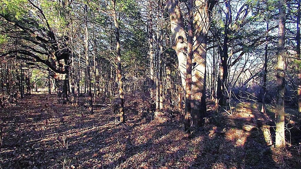 12.15 acres in Hopkins County - photo 4
