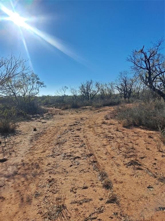 158.5 acres in Fisher County - photo 16