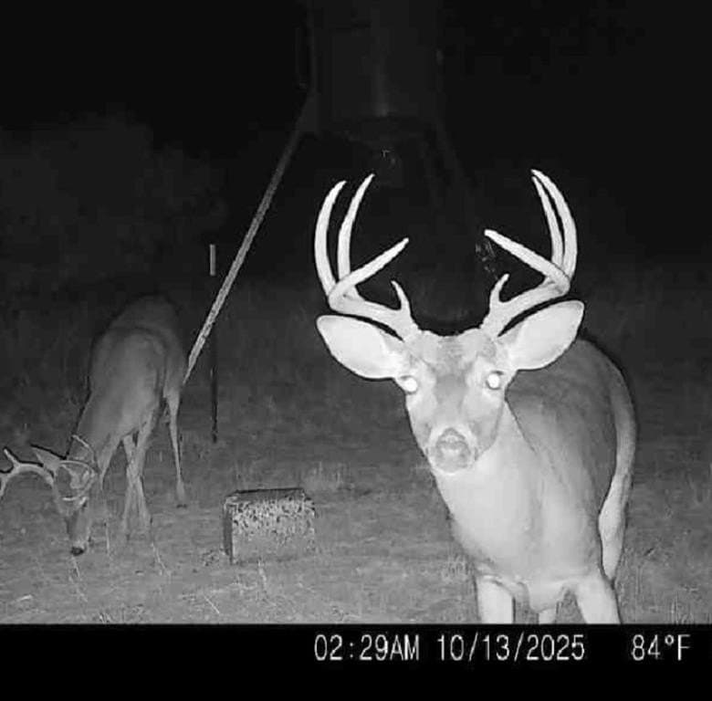 158.5 acres in Fisher County - photo 5