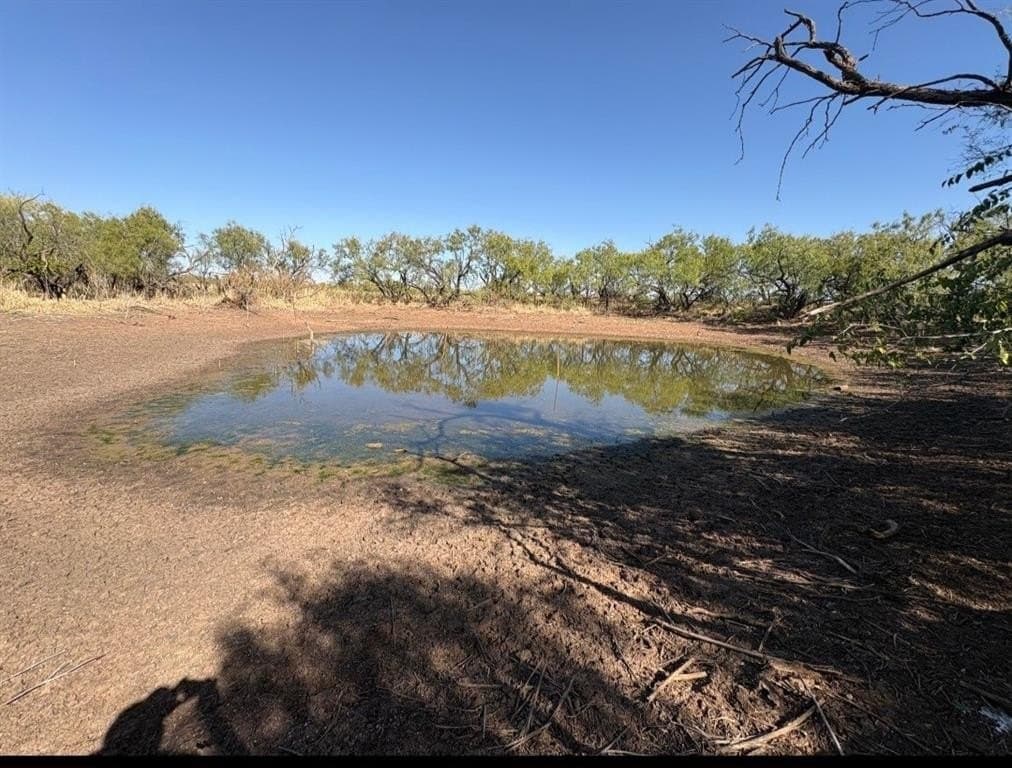 158.5 acres in Fisher County - photo 2