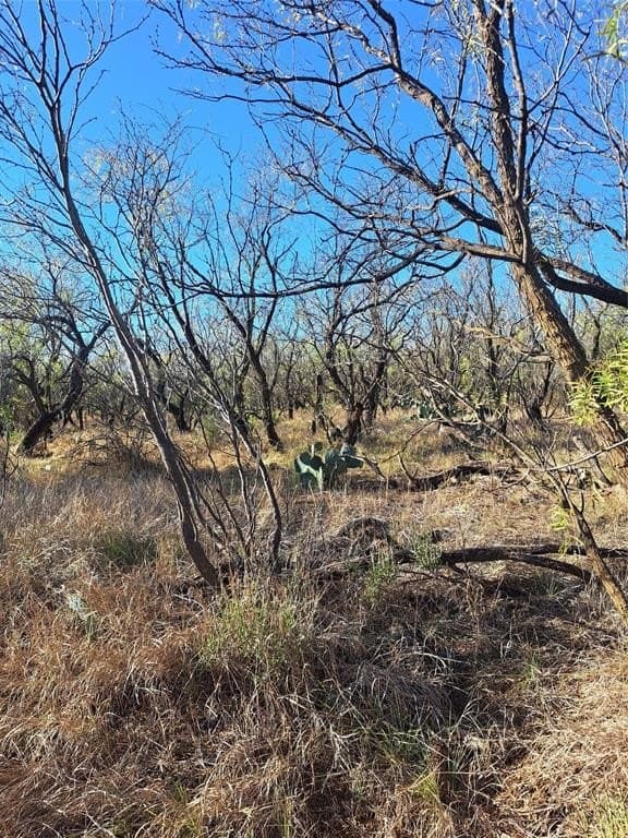 158.5 acres in Fisher County - photo 11