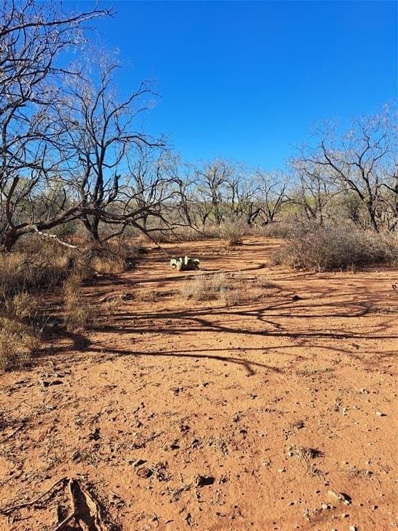 158.5 acres in Fisher County - photo 19