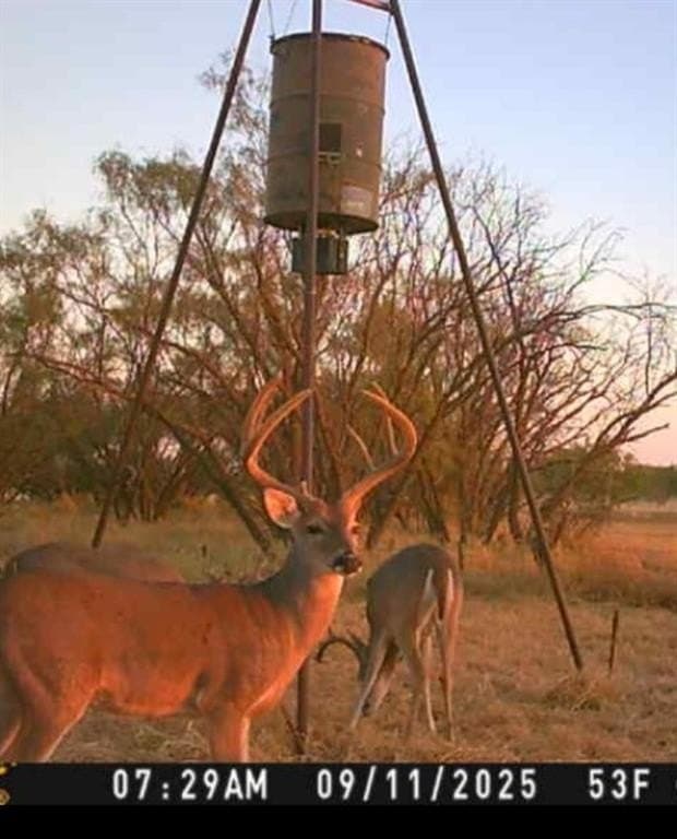 Tbd 158.50 ACRES