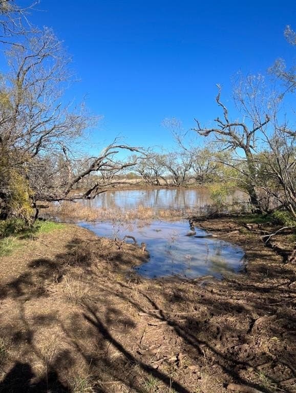 158.5 acres in Fisher County - photo 3