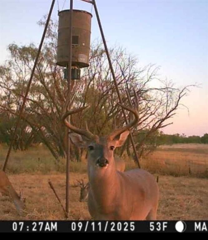 158.5 acres in Fisher County - photo 7