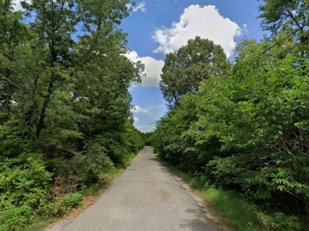 0.74 acres in Hunt County - photo 4
