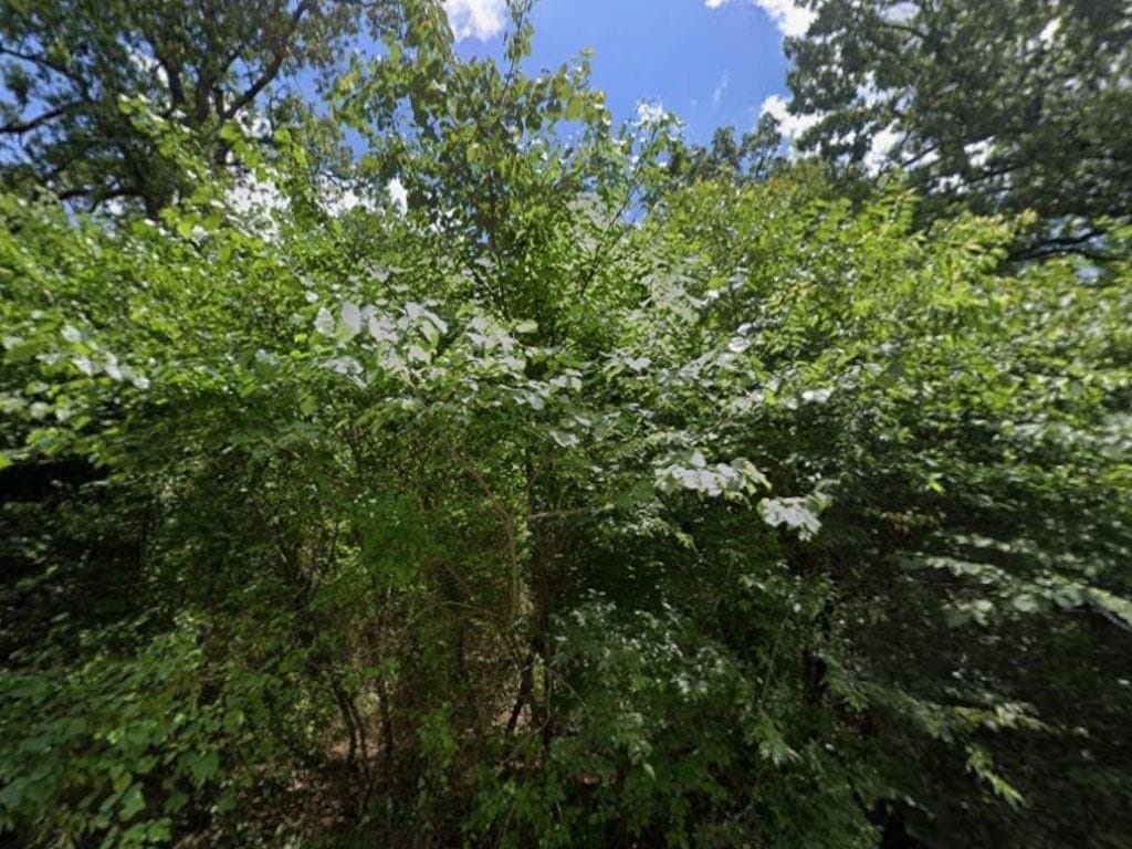 0.74 acres in Hunt County - photo 3