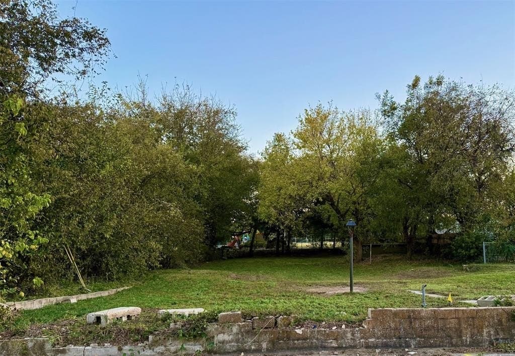 0.32 acres in Parker County - photo 4