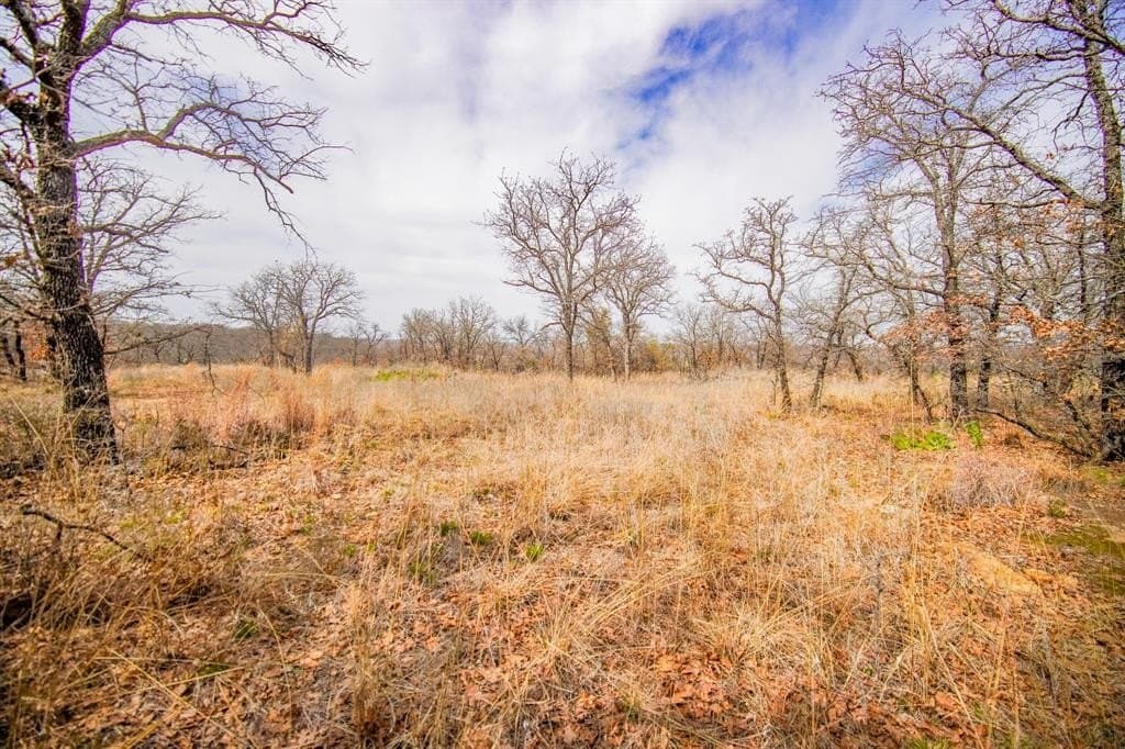 55 acres in Young County - photo 32