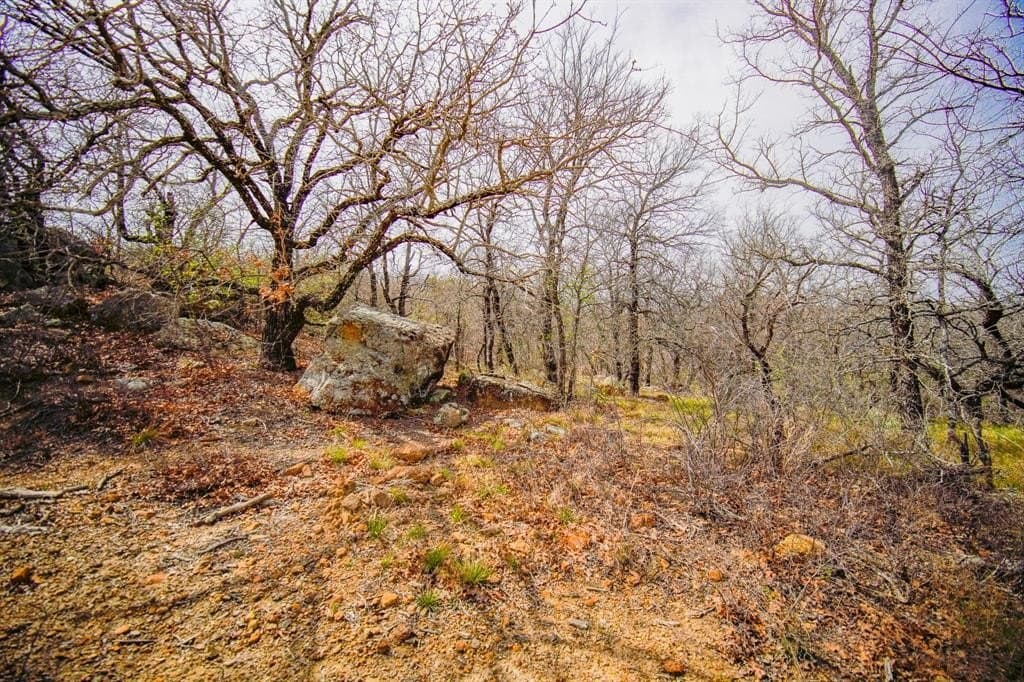 55 acres in Young County - photo 25