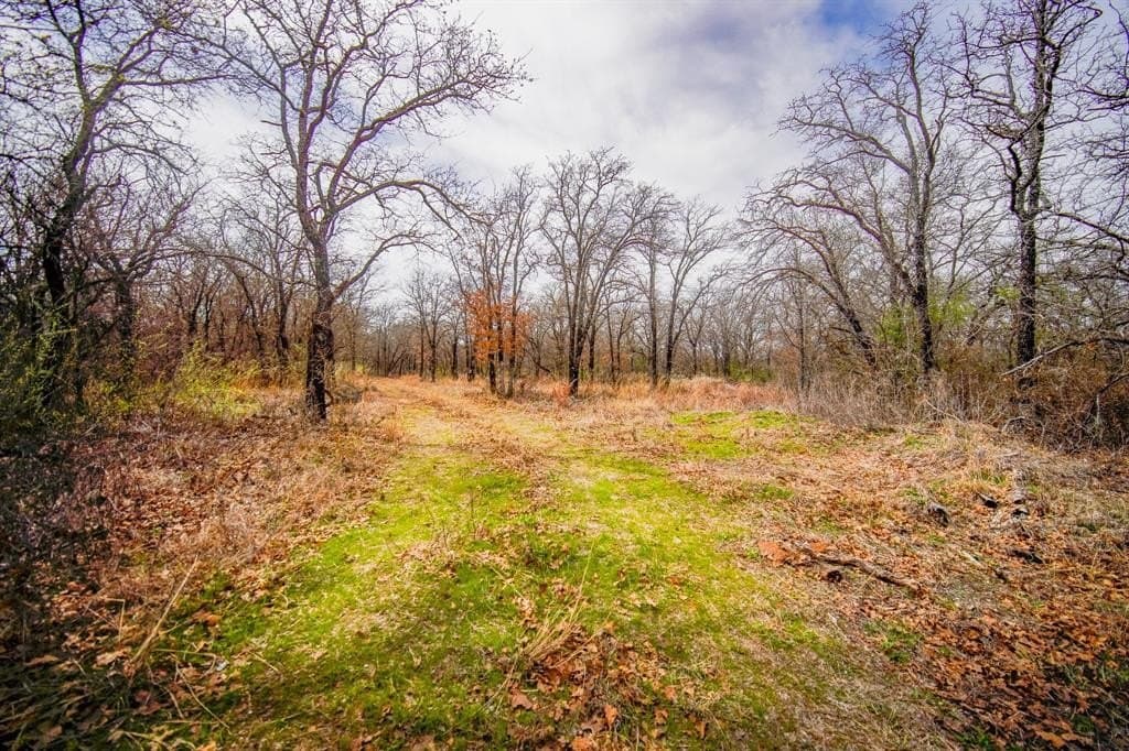 55 acres in Young County - photo 29