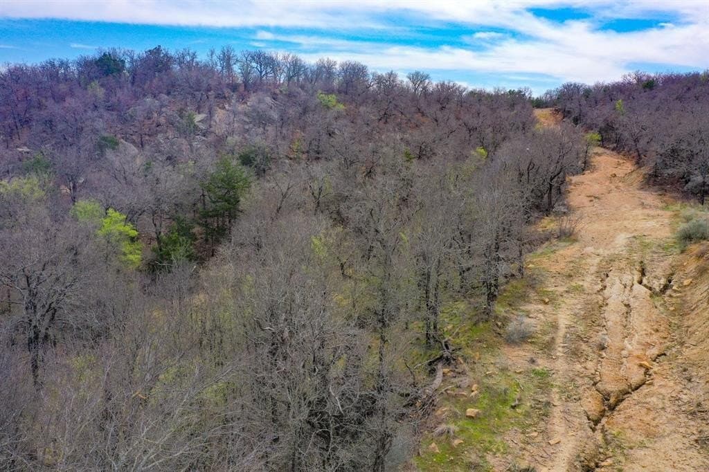 55 acres in Young County - photo 21