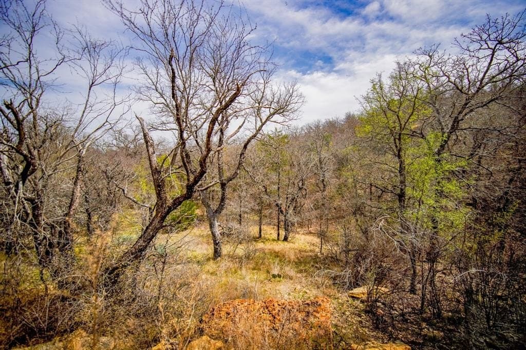 55 acres in Young County - photo 5