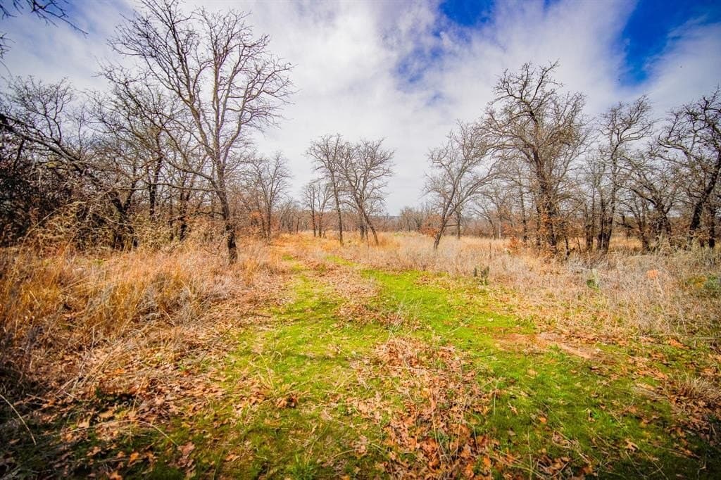 55 acres in Young County - photo 30