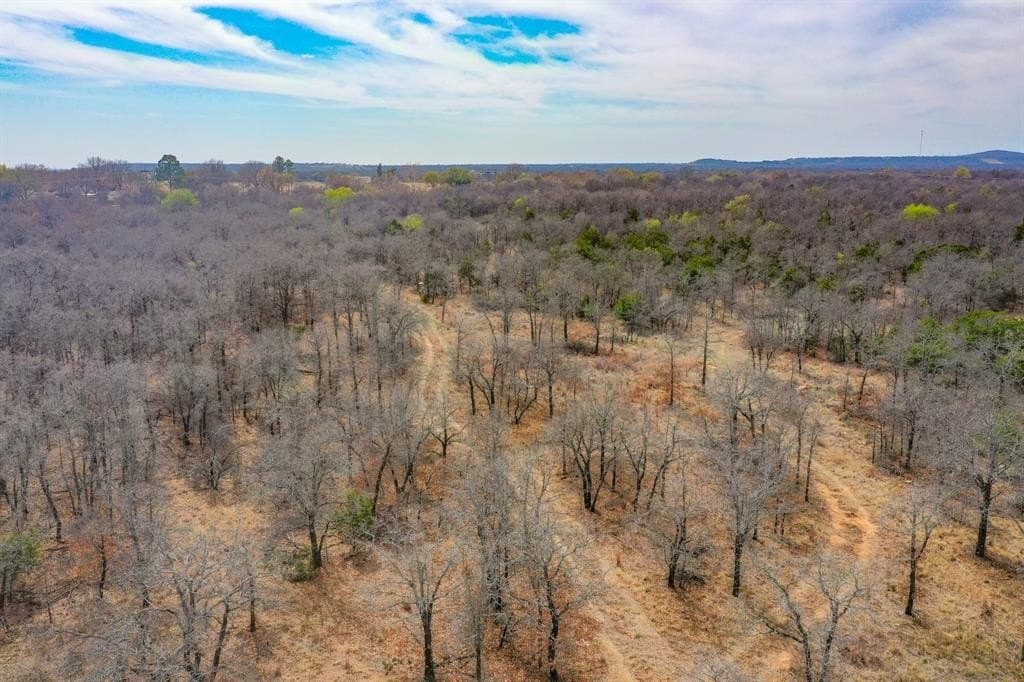 55 acres in Young County - photo 17