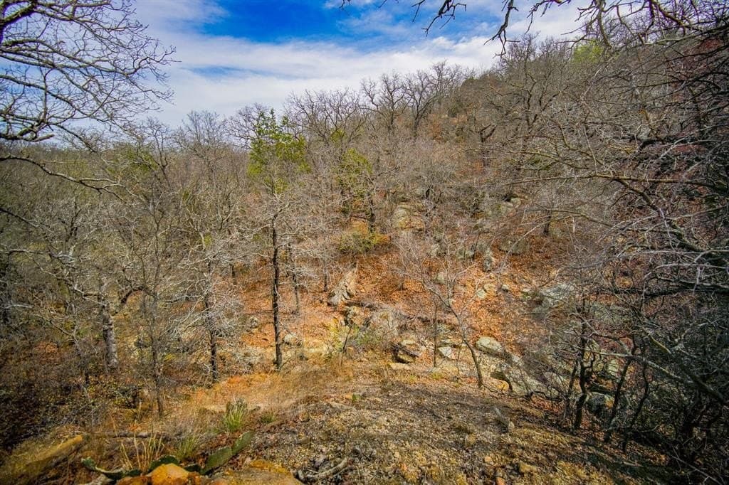 55 acres in Young County - photo 26
