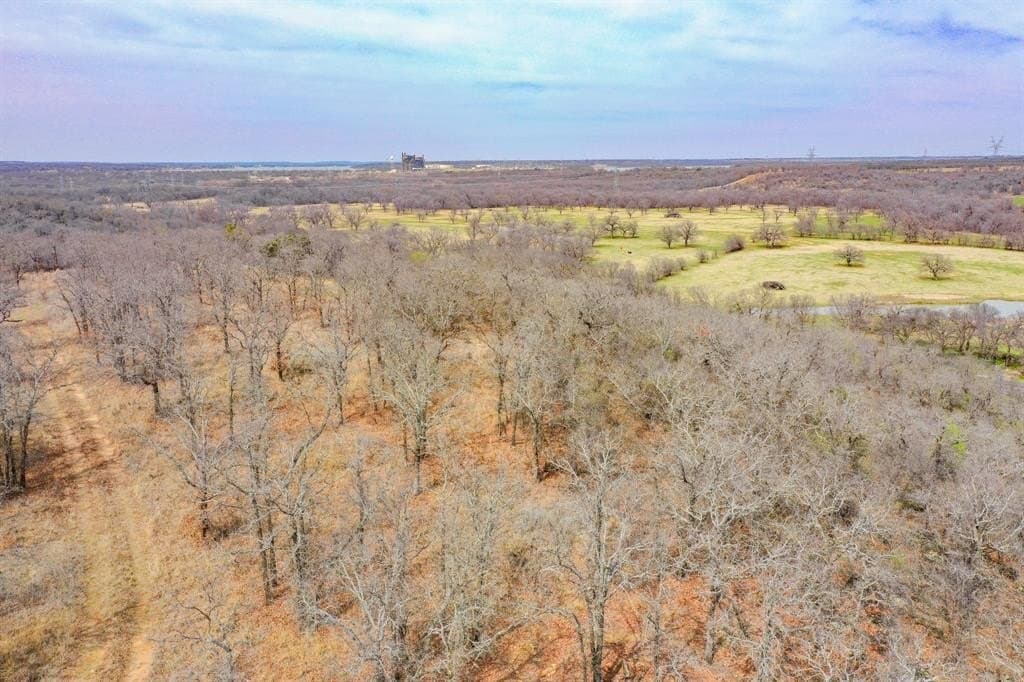 55 acres in Young County - photo 16
