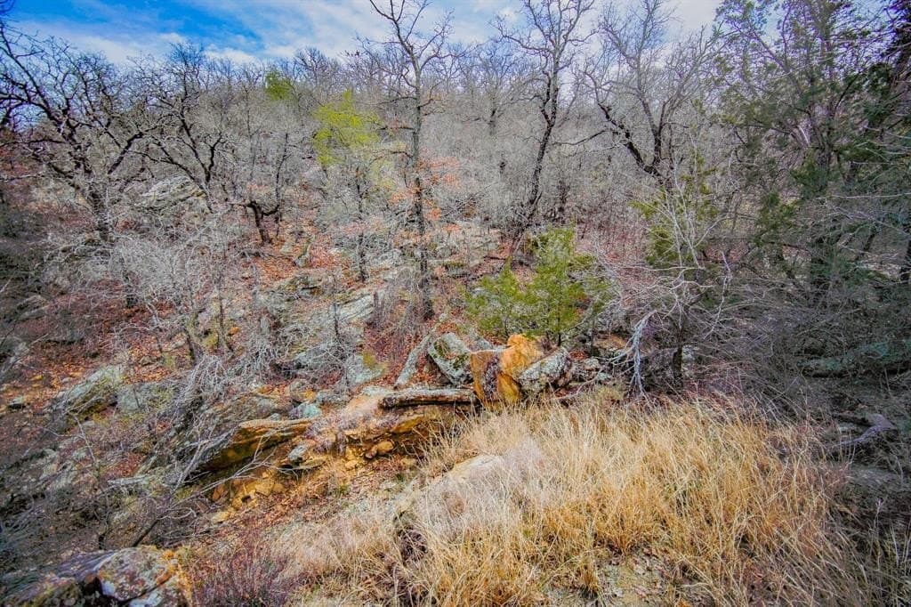 55 acres in Young County - photo 27