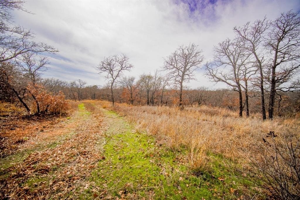55 acres in Young County - photo 33