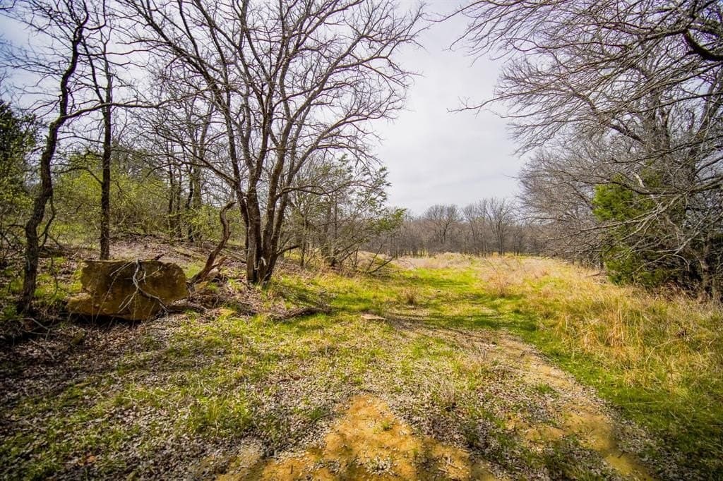 55 acres in Young County - photo 4