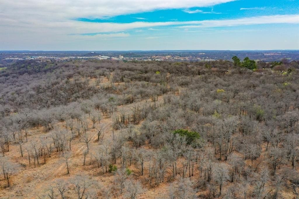 55 acres in Young County - photo 8