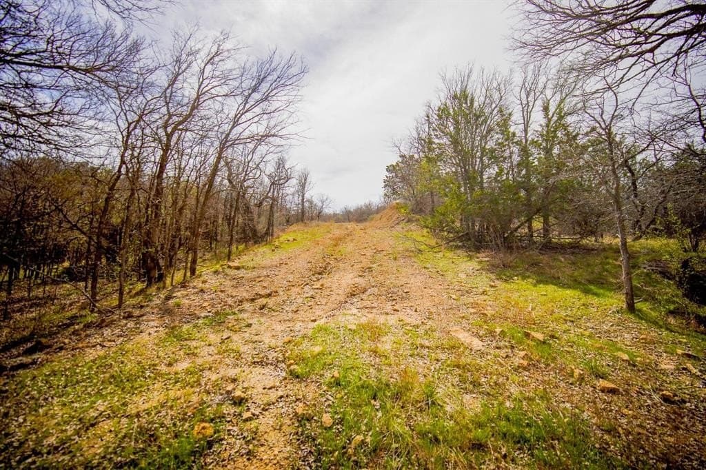 55 acres in Young County - photo 22