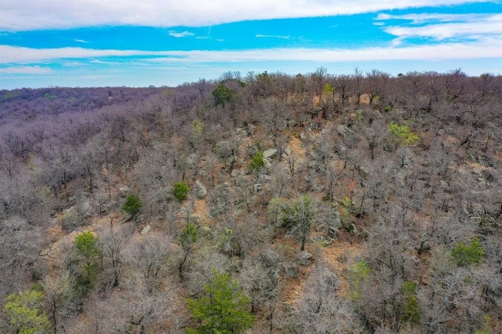 55 acres in Young County - photo 36
