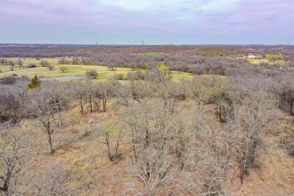 55 acres in Young County - photo 18