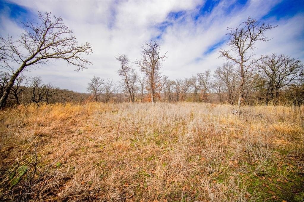 55 acres in Young County - photo 34
