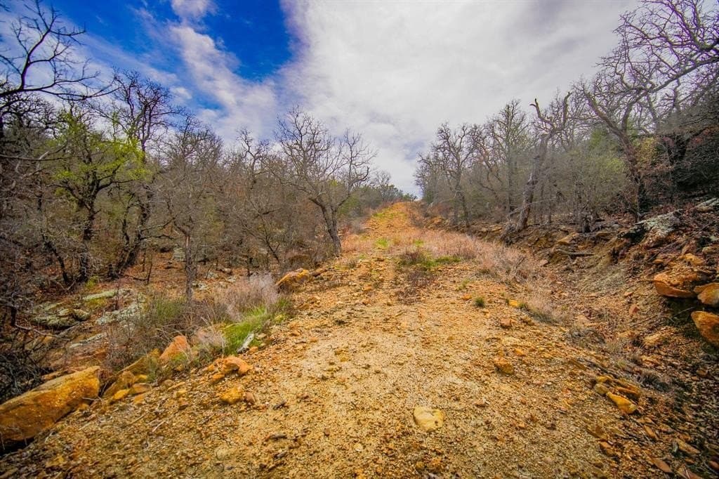 55 acres in Young County - photo 28