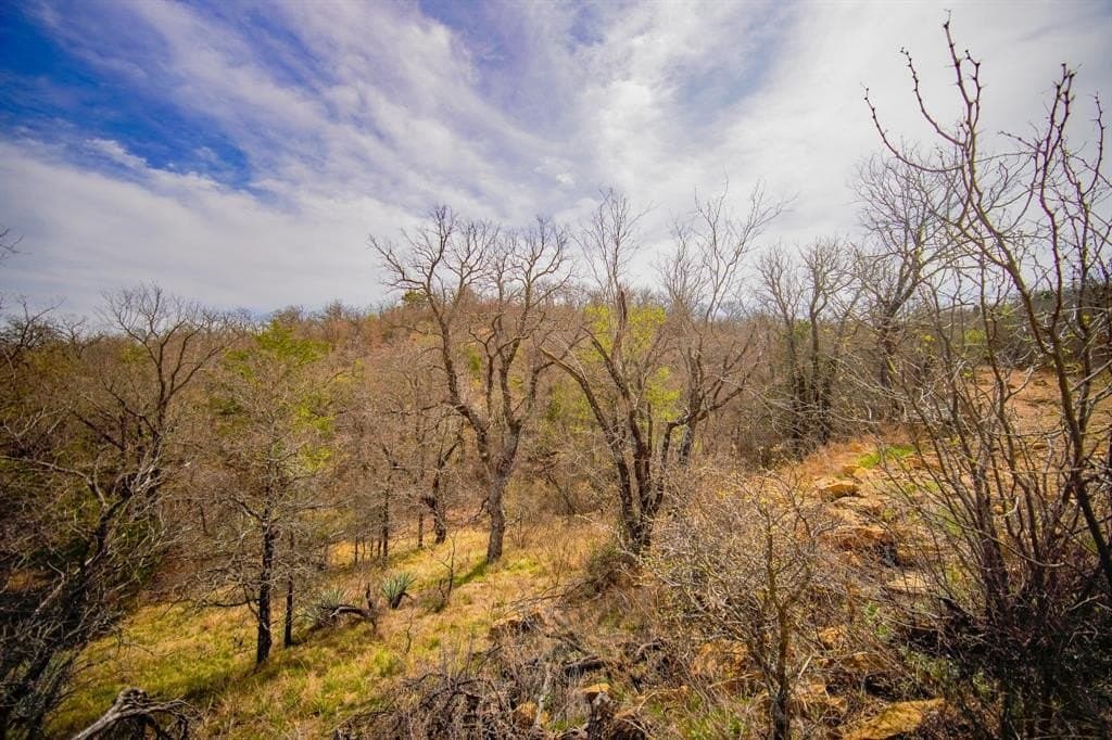55 acres in Young County - photo 23