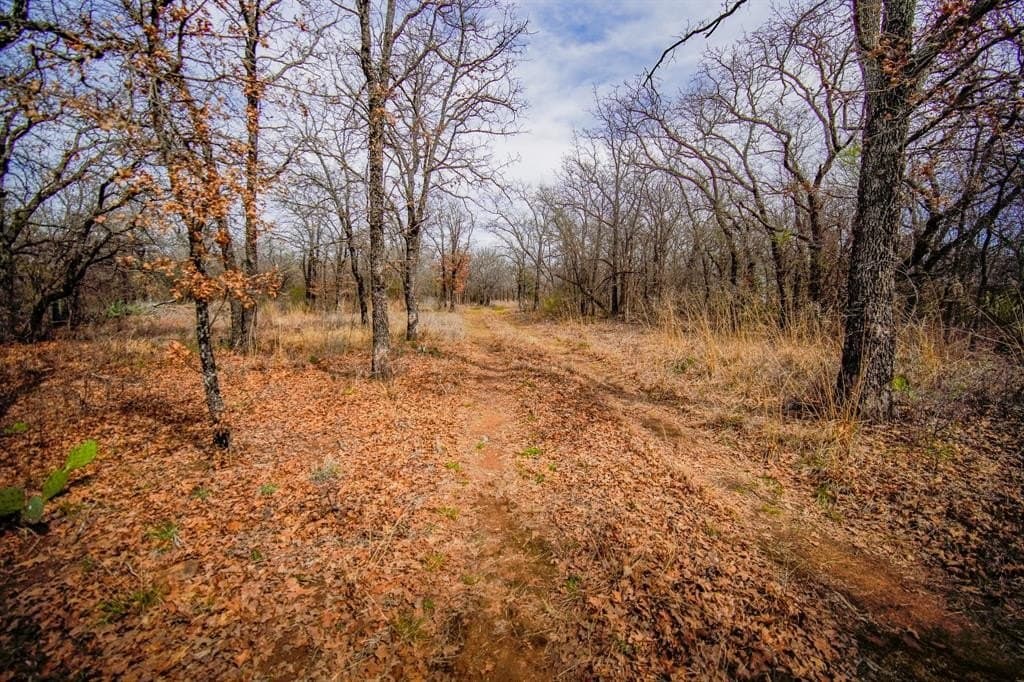 55 acres in Young County - photo 35