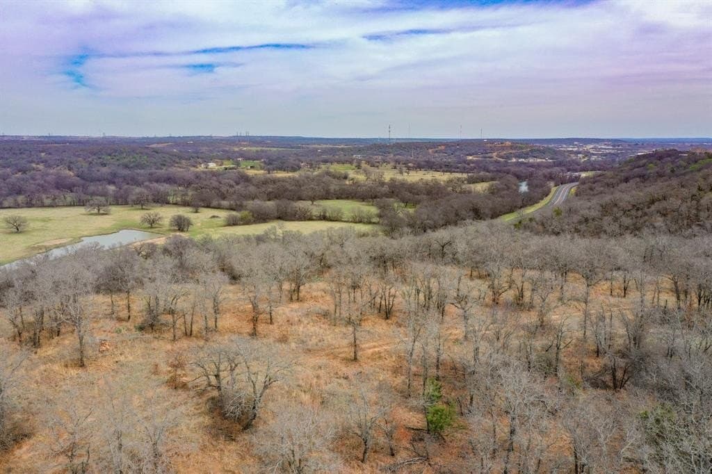 55 acres in Young County - photo 7